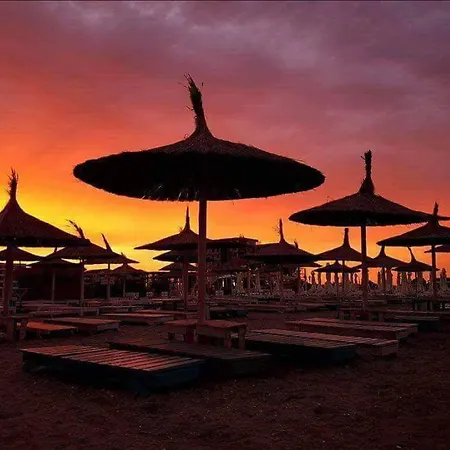 Yvo Lioness & Mamaia Nord Apartamento