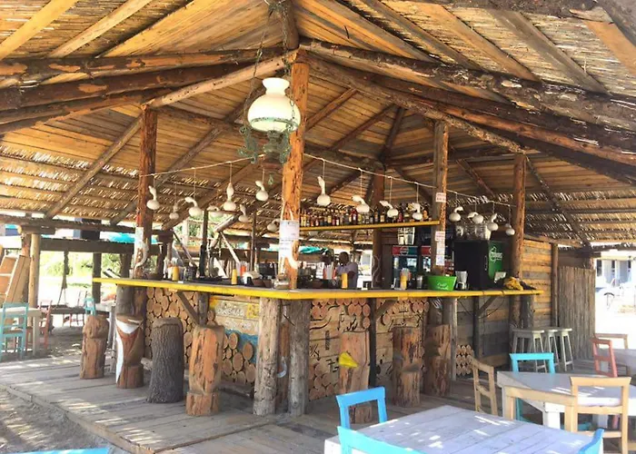 Yvo Lioness & Mamaia Nord Navodari