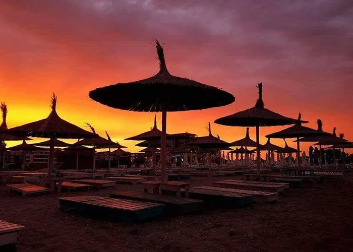 Yvo Lioness & Mamaia Nord Daire